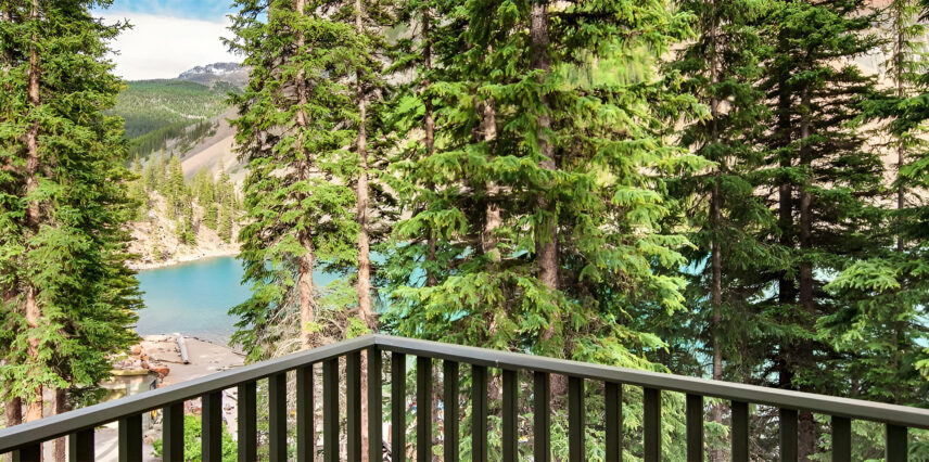 A view from one of the twin bed cabins overlooking Moraine Lake and a bunch of trees.