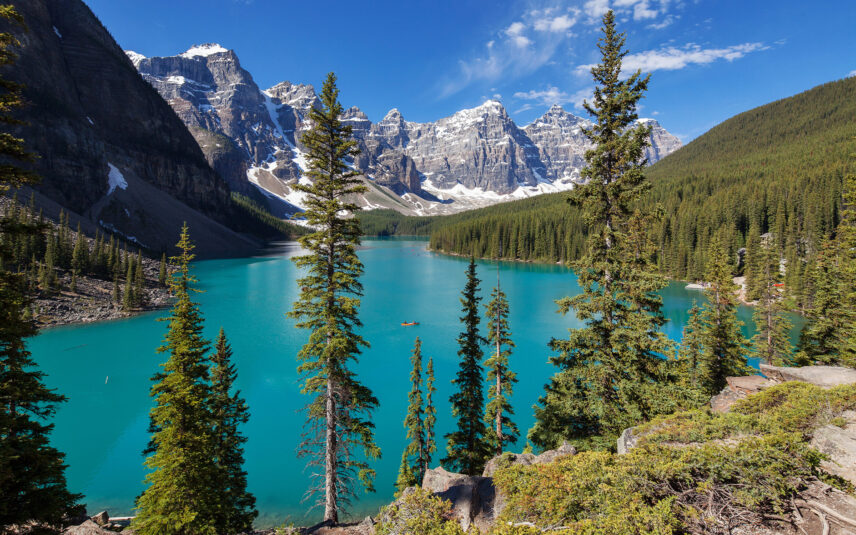 A breathtaking view of Moraine Lake from the top of a hill, with vibrant turquoise waters below and canoes gently floating on the surface, surrounded by towering mountains and lush greenery.